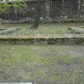 Planty