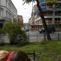 Planty