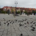 Myslenice