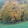 Ojców