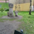 Planty